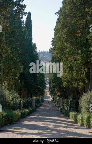 Die Cypress Avenue, wie die Viottolone, die zweite Hauptachse des Boboli Gärten, Florenz bekannt Stockfoto