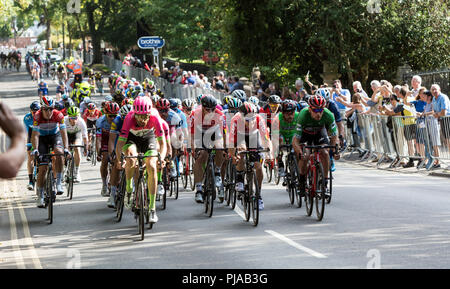 Leamington Spa, Großbritannien. 5. September 2018. Leamington Spa, Warwickshire, England, UK. Der führende peloton Ansätze, um das Ende der 4. Phase des Ovo Energy Tour von Großbritannien in Leamington Spa. Prominente deutsche rider Andre Greipel (schwarzer Helm) des Lotto Soudal Team, die dieses Stadium, die in Nuneaton gestartet gewonnen. Stockfoto