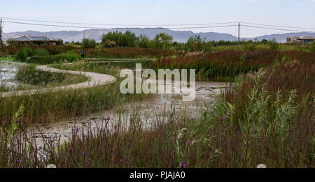 Zhangye. 5. Sep 2018. Foto auf Sept. 5, 2018 zeigt eine Ansicht der Zhangye nationalen Wetland Park in Ganzhou Bezirk von Zhangye im Nordwesten der chinesischen Provinz Gansu. Credit: Tao Ming/Xinhua/Alamy leben Nachrichten Stockfoto