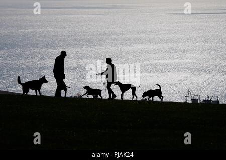 Hastings, East Sussex, UK. 6. Sep 2018. UK Wetter: einen hellen und sonnigen Morgen auf West Hill in Hastings, East Sussex. Ein paar Leute über die Ausübung ihrer Hunde nutzen die warmen herbstlichen Wetter sind vor dem Hintergrund des Meeres. © Paul Lawrenson 2018, Foto: Paul Lawrenson/Alamy leben Nachrichten Stockfoto