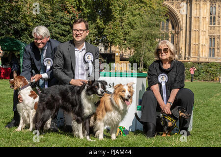 London, Großbritannien. 6. September 2018 Westminster Dog des Jahres Ereignis in Victoria Tower Gardens, London, UK. Die Gewinner des Wettbewerbs, Andrew Mitchell MP, die zweite kam, (links) Alex Norris MP, 1st, (Mitte) und Cheryly Gillian MP dritten Kredit Ian Davidson/Alamy leben Nachrichten Stockfoto