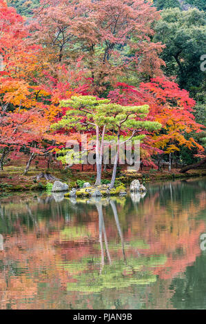 Kinkaku-ji (the Golden Pavilion), Kyoto Stockfoto
