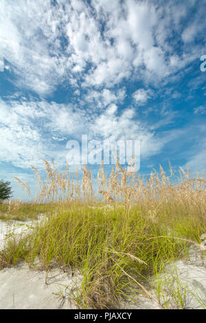 Weiten Sandstrand bei Bean Punkt, der nördlichsten Spitze von Anna Maria Island, FL Stockfoto