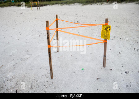 Warnzeichen schützen beachgoers von störenden Turtle ei Nest auf Anna Maria Island, an der Golfküste von Florida, USA Stockfoto