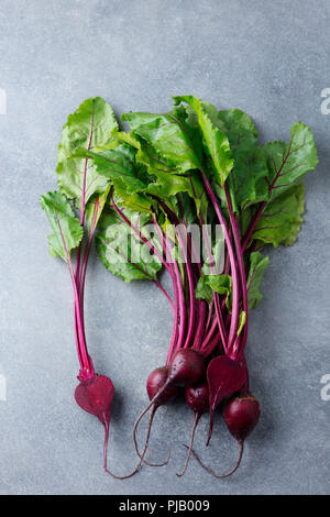 Rüben, rote Beete Bündel auf grauem Stein Hintergrund. Kopieren Sie Platz. Ansicht von oben. Stockfoto