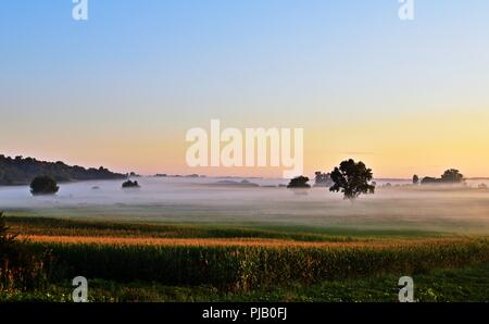 Misty Morning im ländlichen Ungarn Stockfoto