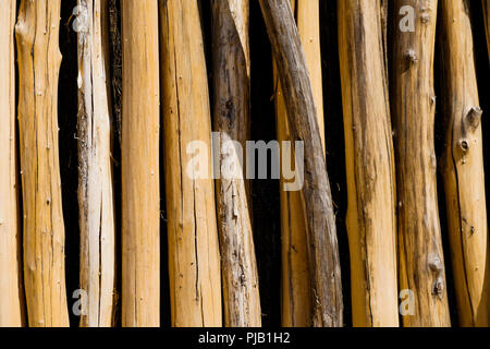 Holz Palisade, Vogelpark, Villars les Dombes, Frankreich Stockfoto