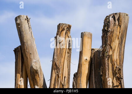 Holz Palisade, Vogelpark, Villars les Dombes, Frankreich Stockfoto