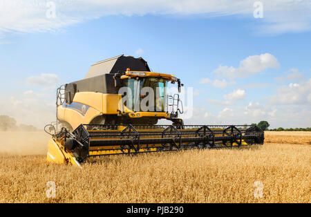 Moderne Maschinen Ernten ein Feld von Hafer auf einem hellen sonnigen Morgen im Sommer am 10. August 2018 in Beverley, Yorkshire, Großbritannien. Stockfoto