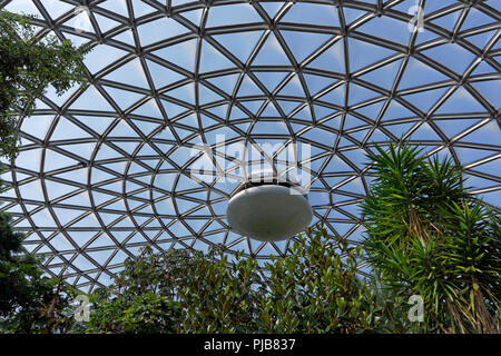 Tropische Pflanzen und Triodetic Kuppel der Blödel Wintergarten im Queen Elizabeth Park, Vancouver, BC, Kanada Stockfoto