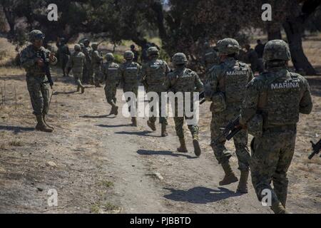 MARINE CORPS BASE CAMP Pendleton, Calif (3. Juli 2018) Mexikanische Marines mit dem Marine Amphibious Infantry Brigade, Marine Infanterie Kraft, in Richtung einer Reihe während der Live-Übungen als Teil der Felge des Pazifiks (Rimpac) Übung auf der Marine Corps Base Camp Pendleton, Kalifornien, 3. Juli 2018. RIMPAC zeigt den Wert der amphibischen Kräfte und bietet hochwertige Ausbildung für Task-organisierte, hoch-fähigen Marine Air-Ground Task Forces, die kritische Reaktion auf Krisen Fähigkeit der US-Streitkräfte und Partner weltweit verbessern. 25 Nationen, 46 Schiffe, 5 U-Boote, etwa 200 aircraf Stockfoto