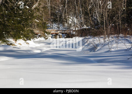 Fuß-Brücke entlang der Lincoln Woods Trail in Lincoln, New Hampshire. Diese Brücke überquert Franken Bach, und Wanderer in den Pemigewasset Wilde Stockfoto