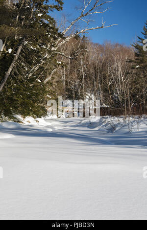 Fuß-Brücke entlang der Lincoln Woods Trail in Lincoln, New Hampshire. Diese Brücke überquert Franken Bach, und Wanderer in den Pemigewasset Wilde Stockfoto