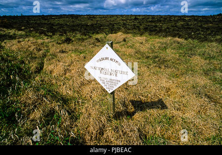 Clara Bog, Grafschaft Offlay, Irland, Europa. Stockfoto