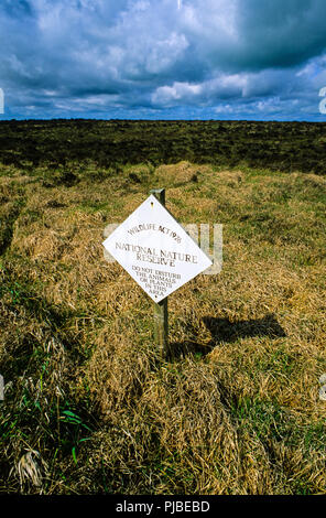 Clara Bog, Grafschaft Offlay, Irland, Europa. Stockfoto