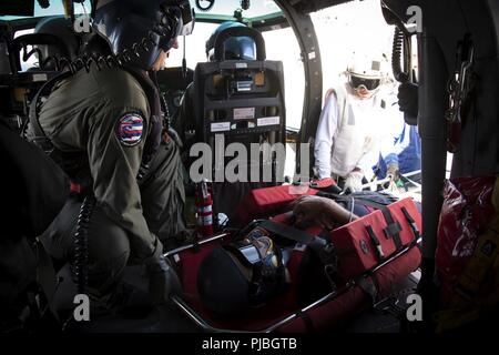 Pazifik (11. Juli 2018) der U.S. Coast Guard Petty Officer 2nd class Keith Caron (links) und die US-Navy Petty Officer 3. Klasse Sarah Nila ziehen der U.S. Coast Guard Petty Officer 1st Class Nicklas Gerszi aus einem MH-65 Dolphin Hubschrauber, an Bord der USNS Mercy (T-AH 19) als Teil eines simulierten medizinische Evakuierung während der Pacific Rim (Rimpac) Übung. 25 Nationen, 46 Schiffe und fünf U-Boote, über 200 Flugzeuge und 25.000 Angestellte beteiligen sich an Rimpac vom 27. Juni bis 2. August in und um die Hawaiianische Insel und Südkalifornien. Die weltweit größte internationale maritime exerc Stockfoto