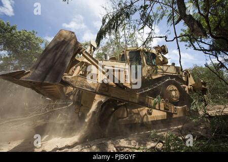 MARINE CORPS TRAINING BEREICH FALTENBÄLGE, Hawaii (Juli 12, 2018) ein D7-Bulldozer der 561St Ingenieur Konstruktionen Firma zugewiesen, 84th Engineer Battalion, schaufeln Sie abgerissen Bäume von der Straße während der Pacific Rim (Rimpac) Übung auf Marine Corps Training Bereich Faltenbalg, 12. Juli 2018. U.S. Navy Seabees mit Naval Mobile Konstruktion Bataillon, 22 Schiffbau Regiment, unterstützt US-Armee das Bedienpersonal von Anlagen zu 561St Ingenieur Konstruktionen Firma zugewiesen, 84th Engineer Battalion, mit Route clearing Ausbildung auf der Grundlage einer ökologischen Katastrophe Szenario wie eine tsunam Stockfoto