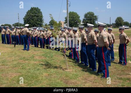 Sgt. Maj. Ronald L. Grün, 18 Sergeant Major des Marine Corps, Adressen die Marines der Marine Antenne Refueler Transport Squadron 452, Marine Flugzeuge Gruppe 49, 4 Marine Flugzeugflügel, der an der Memorial Marker sammeln für die Opfer der gefallenen Passagiere und Crew von Yanky 72 zu Ehren, während der Trauerfeier, 14. Juli 2018. Die Yanky 72 Gedenkfeier abgehalten wurde, sich daran zu erinnern das ultimative Opfer, die die gefallenen Marinesoldaten und Matrosen von VMGR-452 und Marine Corps Special Operations Command gemacht und Ehren. Stockfoto