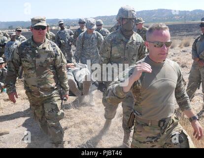 Sgt. William Watt, ein Flug Sanitäter mit der Armee finden Charlie Company, 7th Bataillon, 158 Aviation Regiment von Fort Hood, Texas, ansässige beauftragt Soldaten, wie man richtig eine Bahre auf ein HH-60 M Blackhawk Hubschrauber während eines MEDEVAC 101 Klasse laden zur Unterstützung der Übung Global Medic, 13. Juli, am Fort Hunter Liggett, Kalifornien. Stockfoto