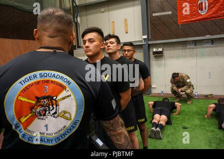 Troopers von CrazyHorse Truppe, 1 Staffel, 3.Kavallerie Regiments "Brave Gewehre", führte eine körperliche Fitness Bewertung zu wählen Kandidaten vor - Ranger Bewertung zu besuchen, während in den Irak, 16. Juli 2018 eingesetzt. Brave Gewehre troopers sind in den Irak zur Unterstützung der Combined Joint Task Force - inhärenten Lösung bereitgestellt, die Arbeit von, mit und durch die irakischen Sicherheitskräfte und Koalitionspartner zu besiegen ISIS im Irak und in Syrien. Stockfoto