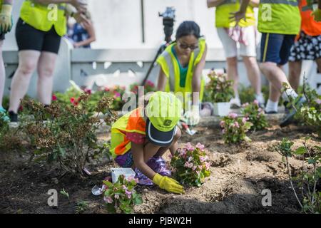 Kya Murphey ab der Ernte Gruppe Pflanzen Blumen in Abschnitt 46 der Arlington National Cemetery, Arlington, Virginia, 16. Juli 2018. Über 400 freiwillige Landschaft Fachleute in der Nationalen Vereinigung der Landschaft Professionals' 22. jährliche Erneuerung teilgenommen und Erinnerung Veranstaltung auf dem Arlington National Cemetery. Freiwillige kohlensäurehaltiges Rasen, Blumen gepflanzt, Bewässerung Rohre, und installierte Beleuchtung Schutz auf mehreren Bäumen. Stockfoto