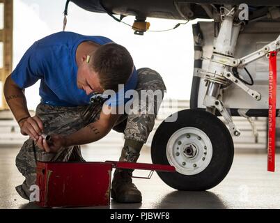 Airman 1st Class Josua Harless, 96 Aircraft Maintenance Squadron Blau, führt Prüfungen an einer F-16 während der vierteljährlichen Waffen laden Wettbewerb Juli 13 in Eglin Air Force Base, Fla. Das blaue Team kämpfte die Rote AMU-Team für Waffen Vorherrschaft während des Wettbewerbs loadcrew. Das blaue Team Sieg in diesem Quartal. Stockfoto