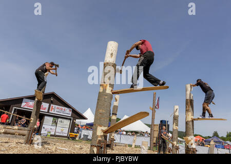 Männer konkurrieren in Holzfäller-wettbewerb, Cherry Valley Spiele im Freien, Otsego County, New York State. Stockfoto