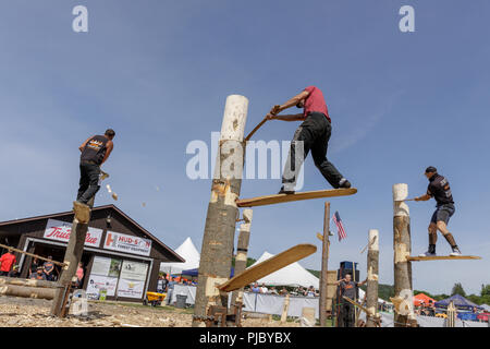 Männer konkurrieren in Holzfäller-wettbewerb, Cherry Valley Spiele im Freien, Otsego County, New York State. Stockfoto