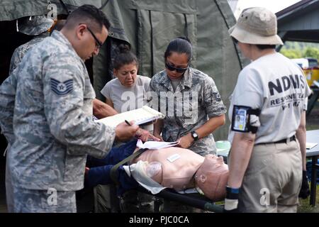 Flieger von der 108 WIng Medical Group, New Jersey Air National Guard, und die Mitglieder der WI-1 Disaster medizinische Hilfe Team (DMAT) Überprüfen Sie bei einem Patienten nach einer simulierten Erdbebens während PATRIOT Nord 18 bei Volk Feld, Wis., 18. Juli 2018. PATRIOT ist ein inländischer Betrieb Disaster Response Training durch die National Guard Einheiten arbeiten mit Bundes-, Landes- und lokale Emergency Management Agenturen und Ersthelfer durchgeführt. Stockfoto