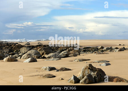 Muscheln und andere Schalentiere Blickfang in einer felsigen leeren Strand aus dem Norden von Portugal bei Ebbe Stockfoto
