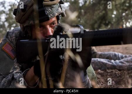 FORT HUNTER LIGGETT - U.S. Army Sgt. Najib Ngadi der 348 Transport Unternehmen sucht den Horizont mit seiner Waffe während einer reagieren Szenario während der 91St Abteilung Weiterbildung unterstützen Training Übung (CSTX 91-18-01) am 11. Juli 2018 im Ft zu kontaktieren. Hunter Liggett, Kalifornien. Die CSTX 91-18-01 sorgt für America's Army Reserve Einheiten ausgebildet sind, fähig, zu bekämpfen, und tödlichen Feuerkraft zur Unterstützung der Armee und unsere gemeinsamen Partner überall in der Welt. Stockfoto