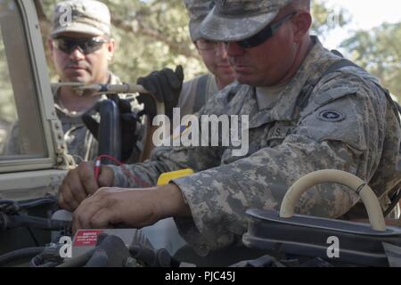 Weiter HUNTER LIGGETT - US-Armee SPC. Christopher Rasko der 348 Transport Unternehmen führt die Instandhaltung Tests auf einem taktischen Fahrzeug während der 91St Abteilung Weiterbildung unterstützen Training Übung (CSTX 91-18-01) am 11. Juli 2018 in Ft. Hunter Liggett, Kalifornien. Die CSTX 91-18-01 sorgt für America's Army Reserve Einheiten ausgebildet sind, fähig, zu bekämpfen, und tödlichen Feuerkraft zur Unterstützung der Armee und unsere gemeinsamen Partner überall in der Welt. Stockfoto