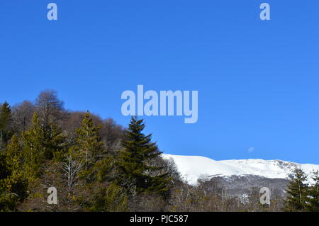 Paisaje Sur Argentino Stockfoto