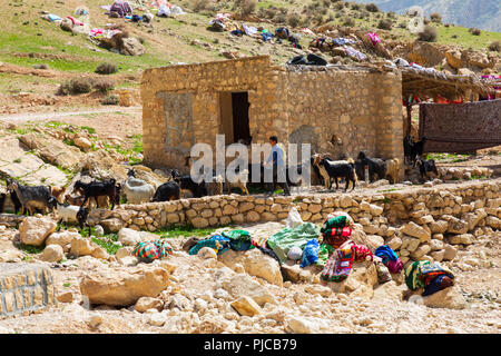 Die Islamische Republik Iran. Provinz Fars, Rudbal. Eine kleine Siedlung, der Qashqai Nomaden. Herding Ziegen. März 10, 2018 Stockfoto