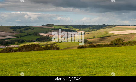 Sommer Sonne scheint auf einem Flickenteppich von landwirtschaftlichen Feldern, Feldfrüchten und Weide in der Nähe von Cerne Abbas in der hügeligen Landschaft von England Dorset Downs Hügeln. Stockfoto