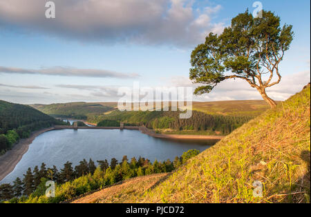 Erstes Licht auf Howden Reservoir in Derbyshire ist Upper Derwent Valley, Teil der Wasserversorgung für Sheffield und East Midlands bewaldet. Stockfoto