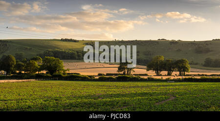 Abends scheint die Sonne auf den Feldern der Ernten, Weide und Heuballen auf den Pisten von Cliffe Hill und Sächsische in England's South Downs in der Nähe von Ringmere Lew Stockfoto