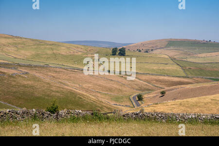 Einen schmalen Feldweg schlängelt sich durch das Tal der langen Dale in der kalksteinlandschaft des Derbyshire Peak District. Stockfoto