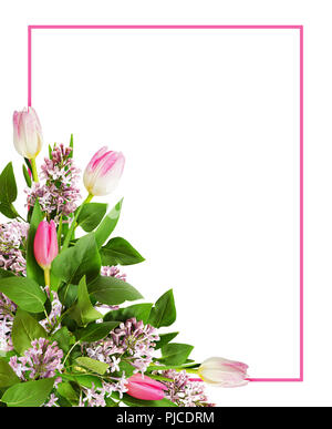 Flieder und Tulpen Blumen in einer Ecke Anordnung mit einem rosa Rahmen auf weißem Hintergrund. Flach. Ansicht von oben. Stockfoto