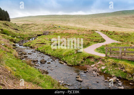 Blaen Taf Fawr stream markiert den Beginn der Fußweg zu Pen-y-Fan höchsten Punkt auf die Brecon Beacons und im südlichen England, Powys, Wales, Großbritannien Stockfoto