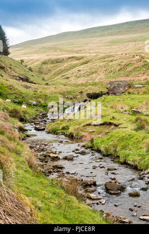 Blaen Taf Fawr stream markiert den Beginn der Fußweg zu Pen-y-Fan höchsten Punkt auf die Brecon Beacons und im südlichen England, Powys, Wales, Großbritannien Stockfoto