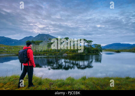 Junge Wanderer an der Pine Island im Derryclare Lough Stockfoto