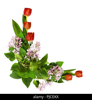 Rote Tulpen und violetten Blüten in der Ecke Anordnung auf weißem Hintergrund. Flach. Ansicht von oben. Stockfoto