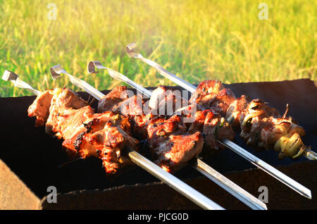 Appetitlich Shish Kebab im Urlaub, fleisch, Schweinefleisch, leckeres Essen, Stockfoto