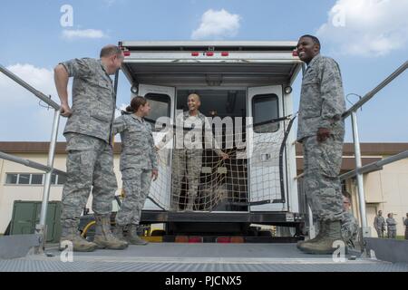 Die Flieger aus der 374 medizinische Unterstützung Squadron die Fähigkeit des En Route Patienten Staging System für Otis C. Jones zeigen, 374 Airlift Wing Commander, während der 374 medizinische Gruppe immersion Tour an Yokota Air Base, Japan, 24. Juli 2018. Die 374 MDG unterhält 55 Krieg finden materiel Projekte, einschließlich der Abteilung für die Verteidigung die größte Bewegung des Patienten los bestand. Stockfoto