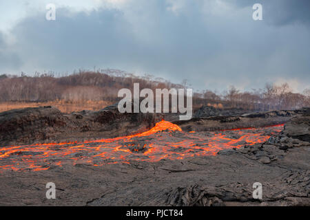 Ein fluss von Lava fliesst durch Kapoho, Hawaii nach Ausbruch aus Spalte 8 der Kilauea East rift zone in Leilani Estates in der Nähe von Pahoa Stockfoto
