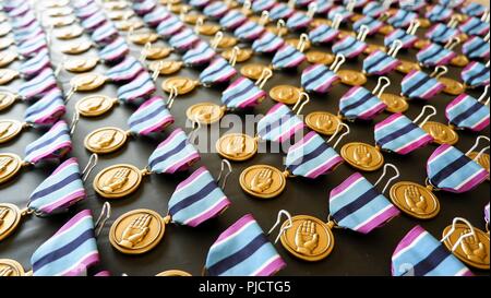 Die 101 Truppe den Befehl, 130 Engineer Battalion feierte eine Änderung des Befehls Zeremonie und einer Preisverleihung im Camp Santiago, Salinas, Puerto Rico, Juli 21. Während der Befehl Zeremonie, Oberstleutnant Kevin S. Crawford seine Position als der 130 Bataillonskommandeur zu großen Edil Velázquez, wurde der stellvertretende Bataillonskommandeur als Ergebnis dieser Teil der Veranstaltung abgegeben. Beide Zeremonien fand im Theater sind Einrichtungen, in denen alle rot 130 guidons hoch während der Veranstaltung stand. Die Preisverleihung wurde der Citizen-Soldiers aus dem Bataillon, die als p arbeitete gewidmet Stockfoto