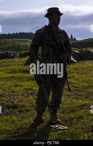 Us Marine Corps Lance Cpl. Hunter Eby, eine schwere Ausrüstung Fahrer mit Marine Wing Support Squadron (MWSS) 171, scannt den Boden mit einem Metalldetektor während der Übung Eagle Zorn 18 an kombinierten Waffen Training Center Camp Fuji, Japan, 23. Juli 2018. Adler Zorn ist eine jährliche Übung konzipiert squadron Sprachkenntnisse in einer Betriebsumgebung zu erhöhen, Test für den VORWÄRTS-Befehl und Kontrolle der Struktur und der Praxis für die Praxis Kontingenz Missionen. Stockfoto