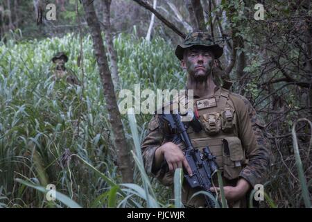 OAHU - US Marine Lance Cpl. Kyle Nemeth, ein Anti-tank missleman mit Waffen Firma, Bataillon Landung Team 3/1, 13 Marine Expeditionary Unit (MEU), führt Land Navigation während Georgia Sustainment Übung, 21. Juli 2018. Dieses Training erlaubt die Marinesoldaten und Matrosen zu Fähigkeiten während eines umfassenden 6-Monats predeployment Ausbildung Zyklus entwickelt Sustain und umfasst die Planung und Ausführung von Ship-to-shore Operationen, Firma große Hubschrauber und Amphibische Angriffe, die Bekämpfung der Treffsicherheit und Konvois. Das Essex Amphibious Ready Gruppe/MEU Team ist eine starke, flexible, Verantwort Stockfoto