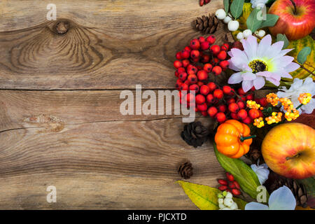 Thanksgiving oder fallen Gruß Hintergrund mit kleinen Kürbisse, Äpfel, Vogelbeeren und weiße Blumen auf dem alten Holztisch, kopieren Raum Stockfoto